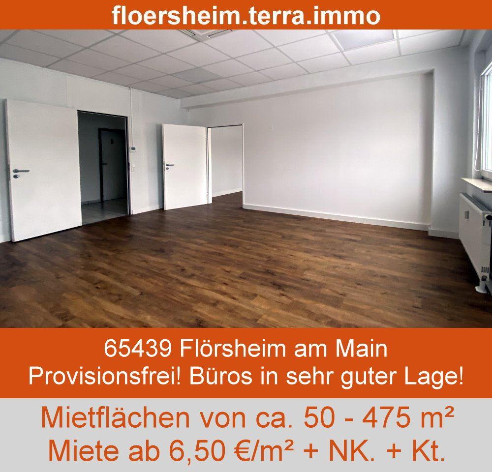 Top-Standort Gewerbefläche Flörsheim 1