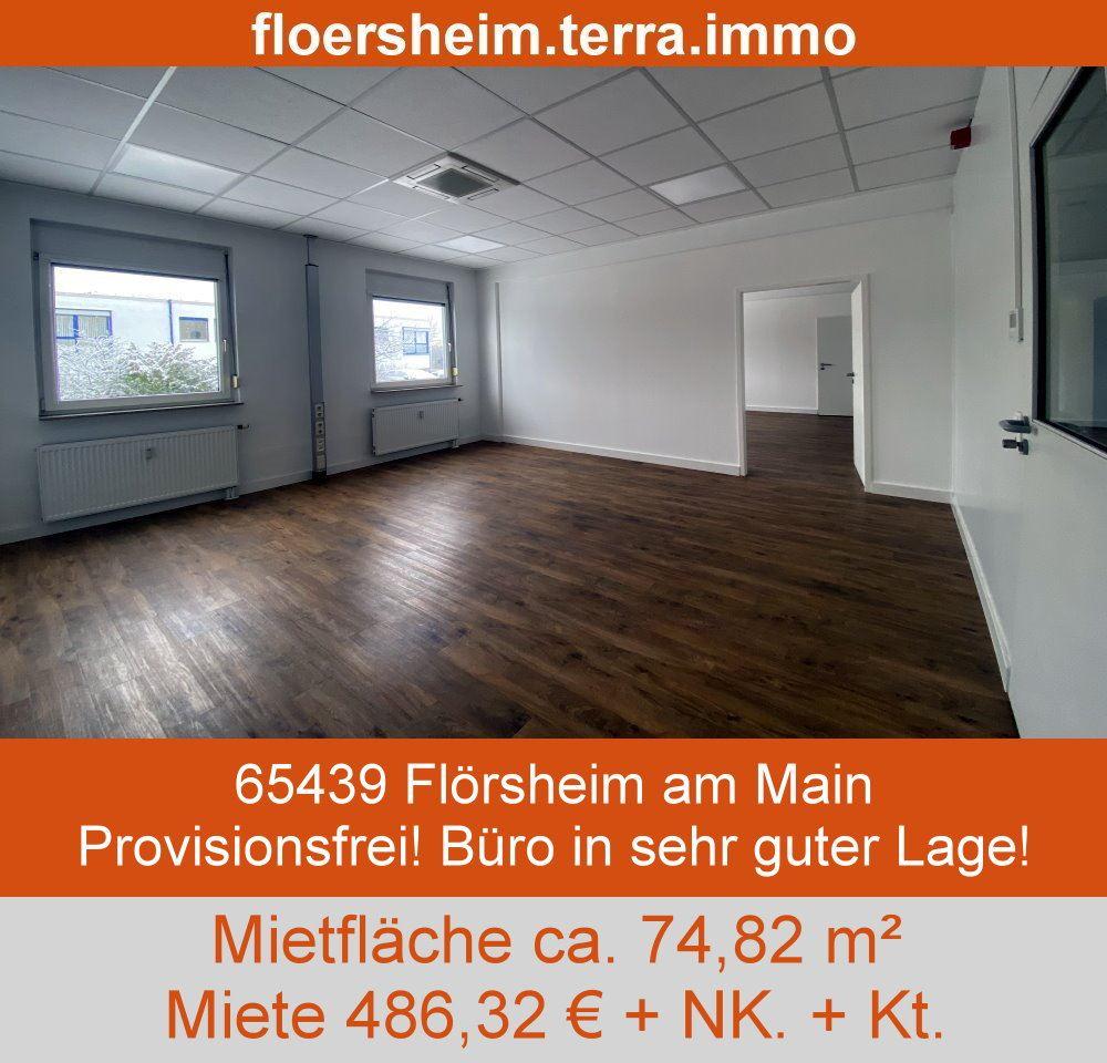 Top-Standort Gewerbefläche Flörsheim 2