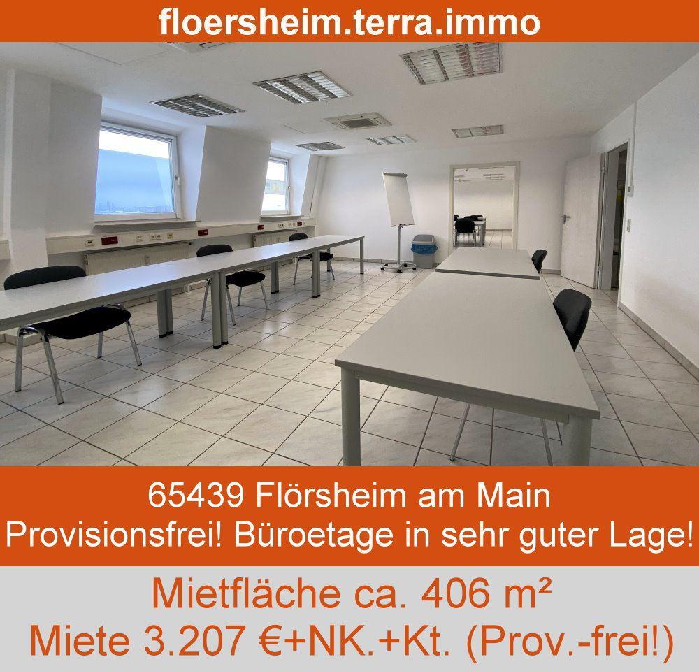 Top-Standort Gewerbefläche Flörsheim 3